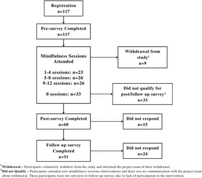 Conduct problems, hyperactivity, and screen time among community youth: can mindfulness help? an exploratory study